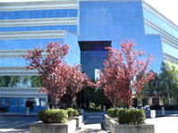 Regus Office Space, California, Campbell - Hamilton