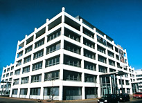 Dusseldorf Seestern